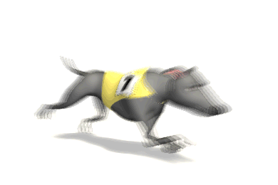 Greyhound 